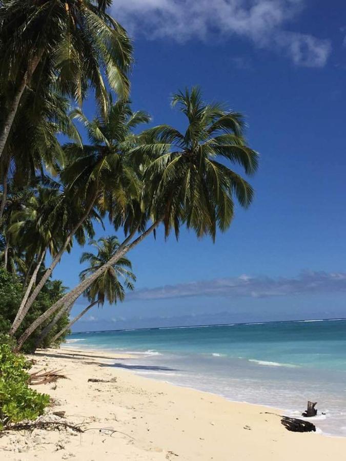 Arthur Homestay Telescope Mentawai Tua Pejat Екстер'єр фото